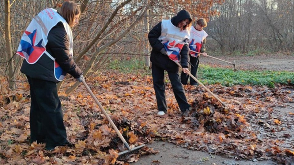 c1e2wz82l9avwa77206ik378t3b051sr