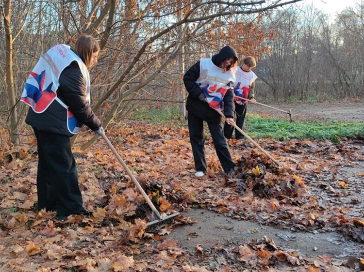 c1e2wz82l9avwa77206ik378t3b051sr