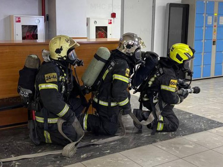 d2219f39b16be901e9b04bc431715695-800x800-watermark