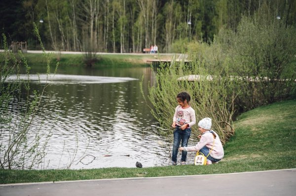 Жара — не всегда хорошо. Особенно для обитателетей водной глади.