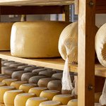 delicious-organic-cheese-wheels