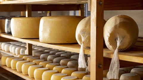 delicious-organic-cheese-wheels