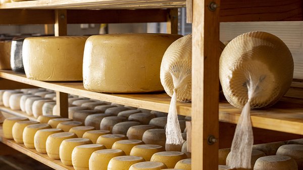 delicious-organic-cheese-wheels