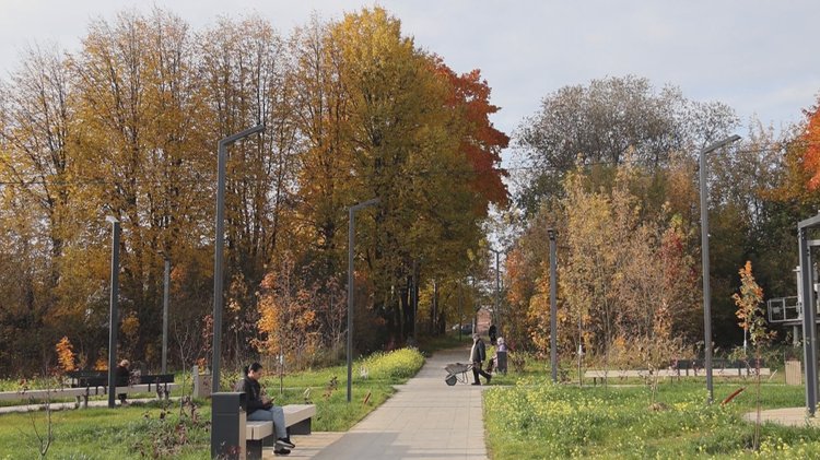 И какой сквер без деревьев и кустарников?