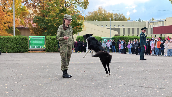 динамовец 07