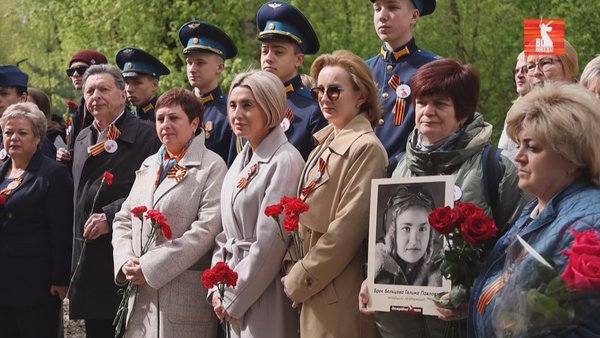 доски обл