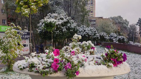 dsc06400