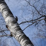 dsc_0518-anna-vjazgina