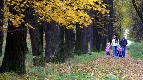 dsc_4534-irina-zubareva