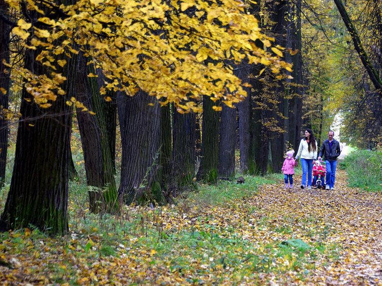 dsc_4534-irina-zubareva