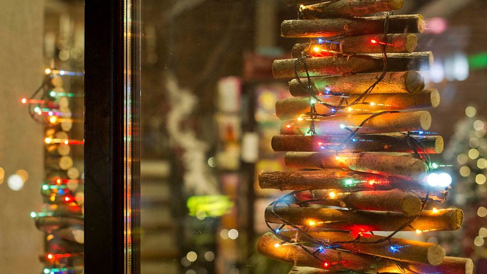 dsc_8424-anastasija-maruhlenko-noginskoe-ia