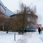 dubna-park-semejnogo-otdyha-zima-15