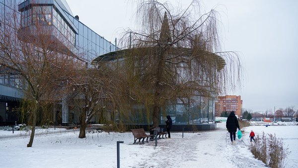 dubna-park-semejnogo-otdyha-zima-15