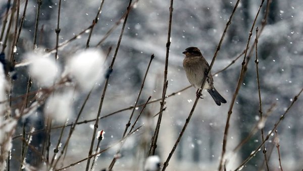 eos-5d-mark-iii_0188