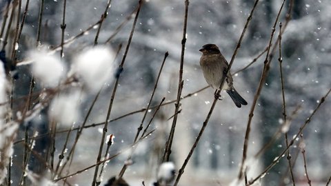 eos-5d-mark-iii_0188