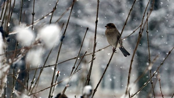 eos-5d-mark-iii_0188