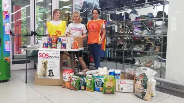 Акция «SOSисочка» состоялась в микрорайоне Богородский