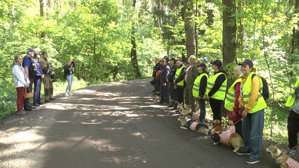 Щёлковские спасатели провели ежегодные учения по поиску потерявшегося человека в лесу
