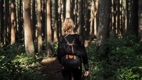 female-hiking-forest_23-2147870210