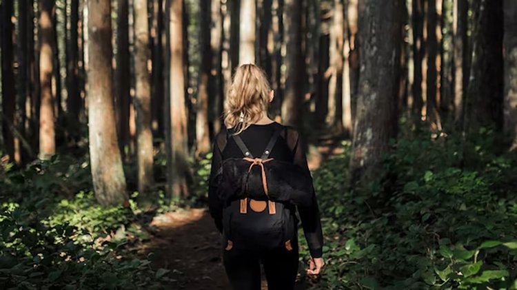 female-hiking-forest_23-2147870210