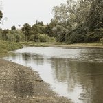 forest-near-river-landscape