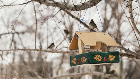front-view-birdhouse-hanging-tree-outside-winter