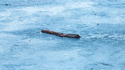 frozen-log-frozen-lake-maksimir-park-zagreb-croatia