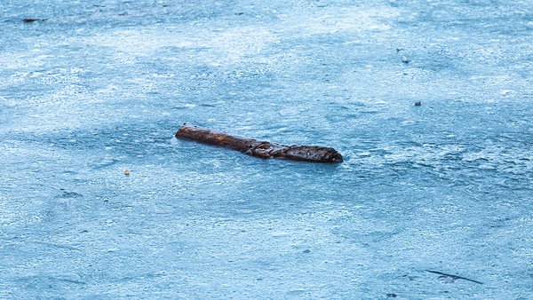 frozen-log-frozen-lake-maksimir-park-zagreb-croatia