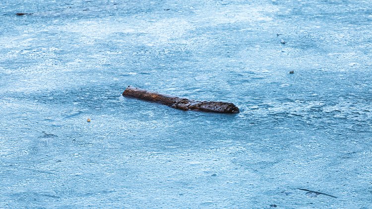 frozen-log-frozen-lake-maksimir-park-zagreb-croatia