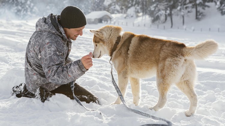 full-shot-man-with-dog-snow