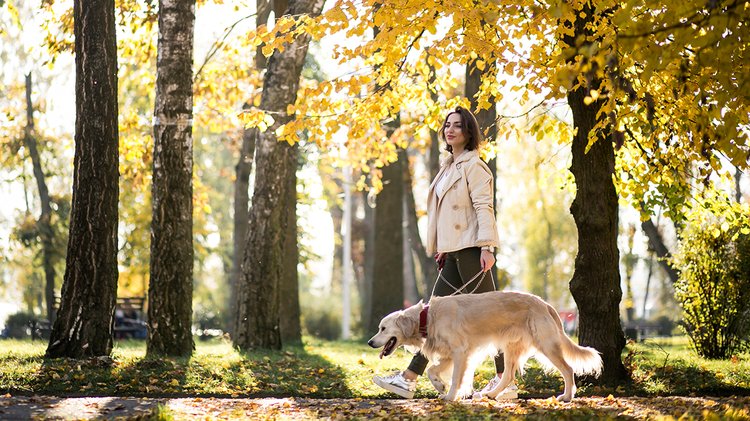 girl-with-dog