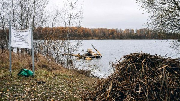 kpl0ij1az7mz492tlmaeg8kn63o3dyg1 (1)