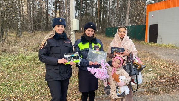 красота