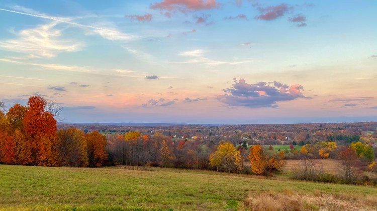 landscape-meadow-with-green-fields-autumn-trees-sunny-day