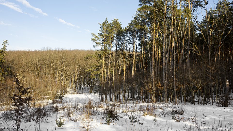 natural-beautiful-winter-landscape