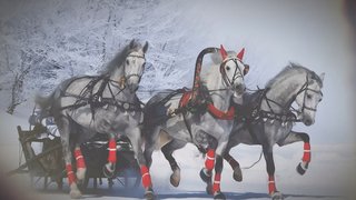 обл