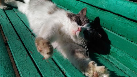 p_20160327_131310-angelina-nikiforova