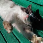 p_20160327_131310-angelina-nikiforova