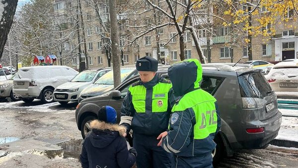 пешеход