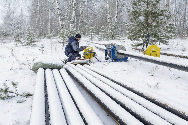 photo-2026-01-12-16-42-56 (1)