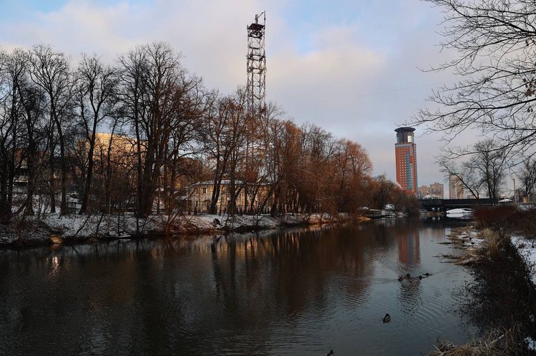 photo_2025-01-13_08-56-37