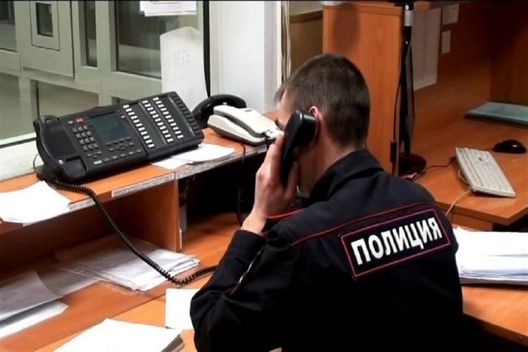 Фото: телеграм-канал «Подмосковная полиция»