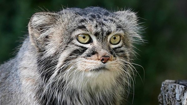 photo_2025-10-20_07-25-43