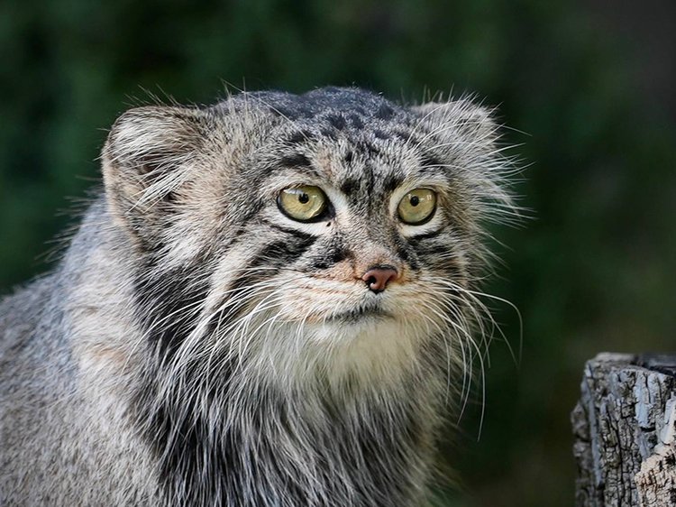 photo_2025-10-20_07-25-43