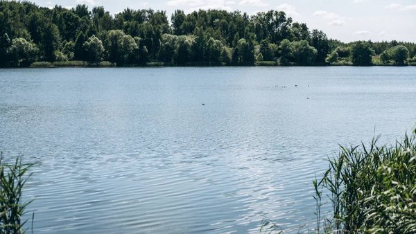 photo_2025-11-11_17-26-05