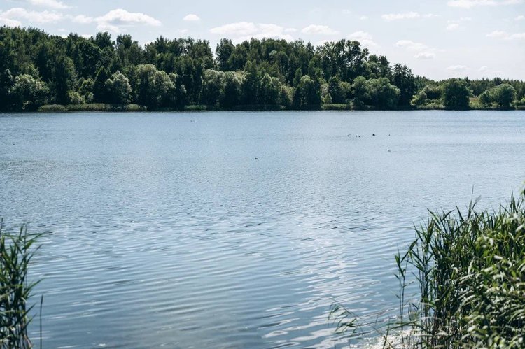 photo_2025-11-11_17-26-05