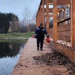 photo_2025-11-14_17-12-15