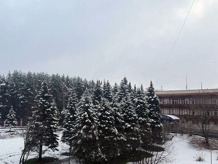 photo_2025-11-15_13-38-51