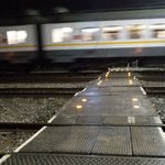 photo_2025-11-17_11-11-40