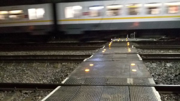 photo_2025-11-17_11-11-40